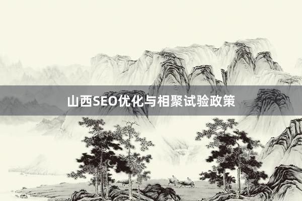 山西SEO优化与相聚试验政策