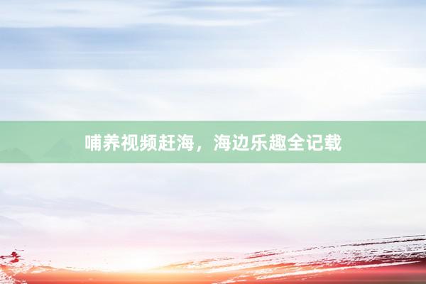 哺养视频赶海，海边乐趣全记载